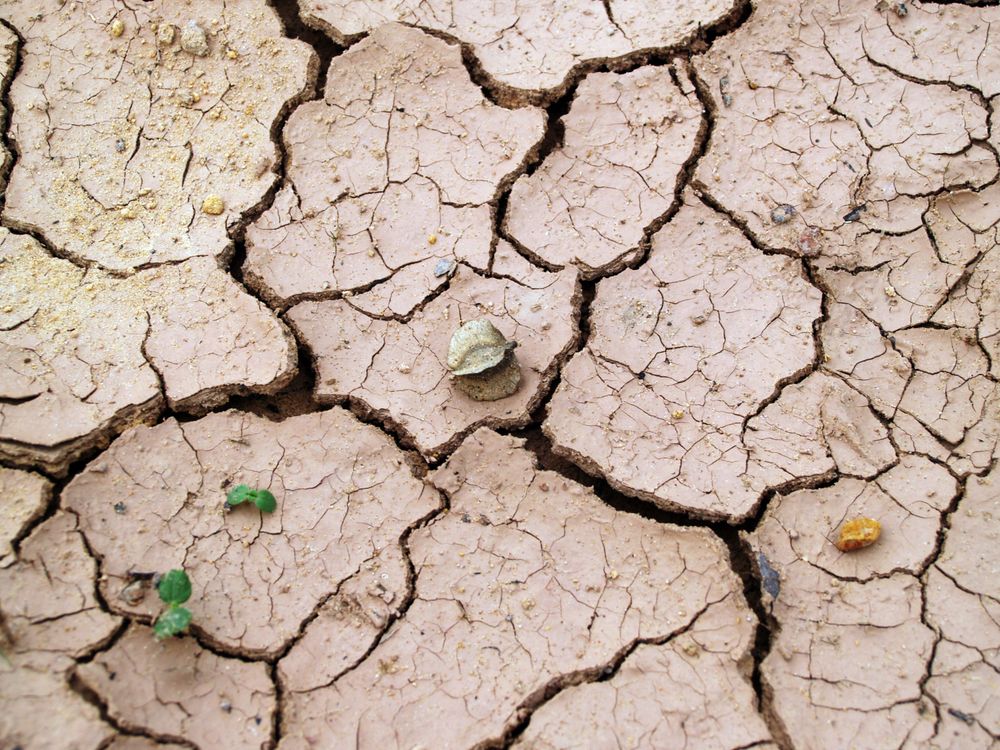 Cracked dry clay earth showing soil movement