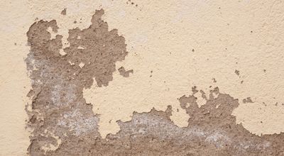 Water-damaged peeling wall showing moisture damage